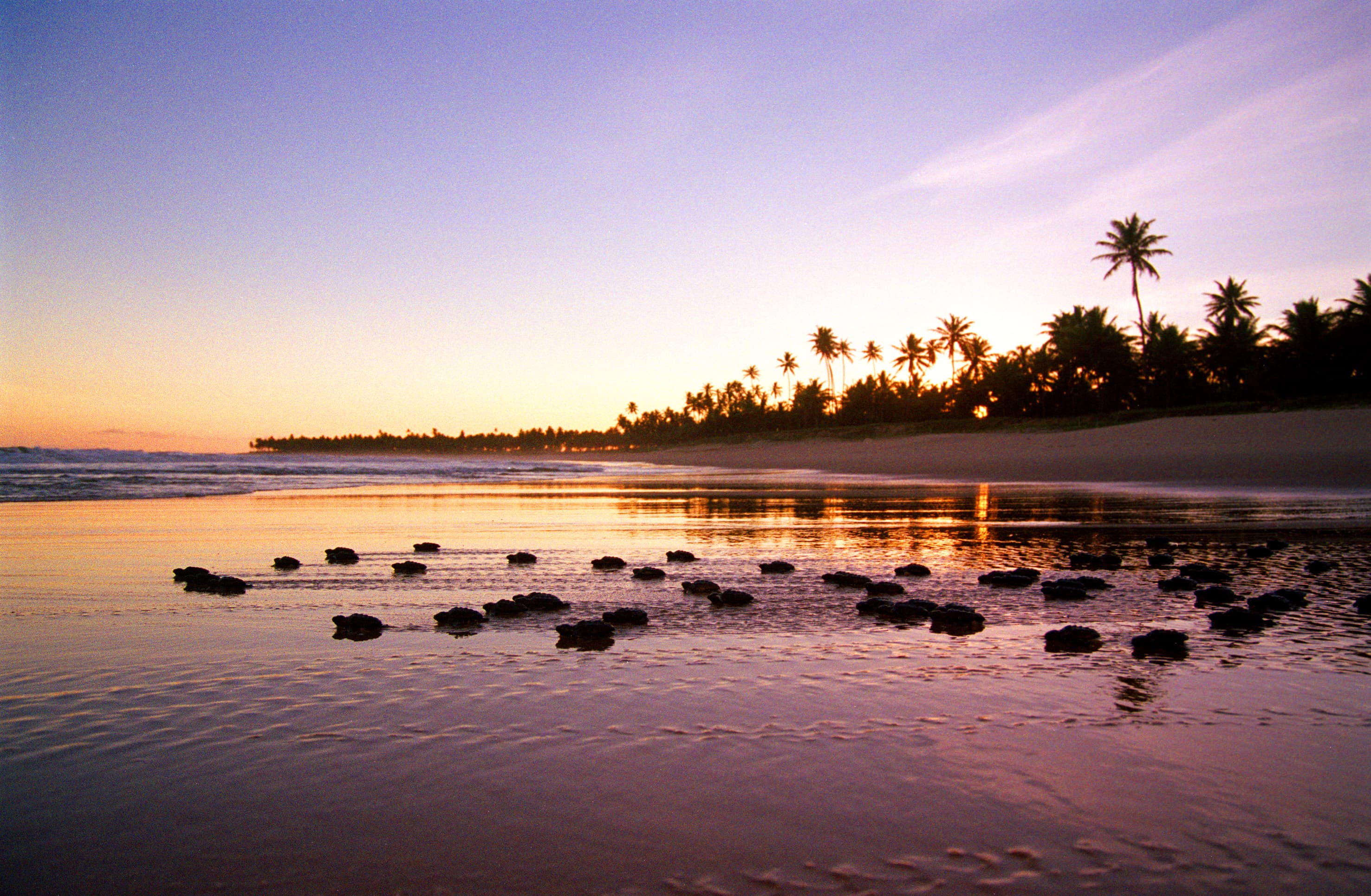 Salvador se prepara para o feriado de 20 de novembro com programação da Consciência Negra