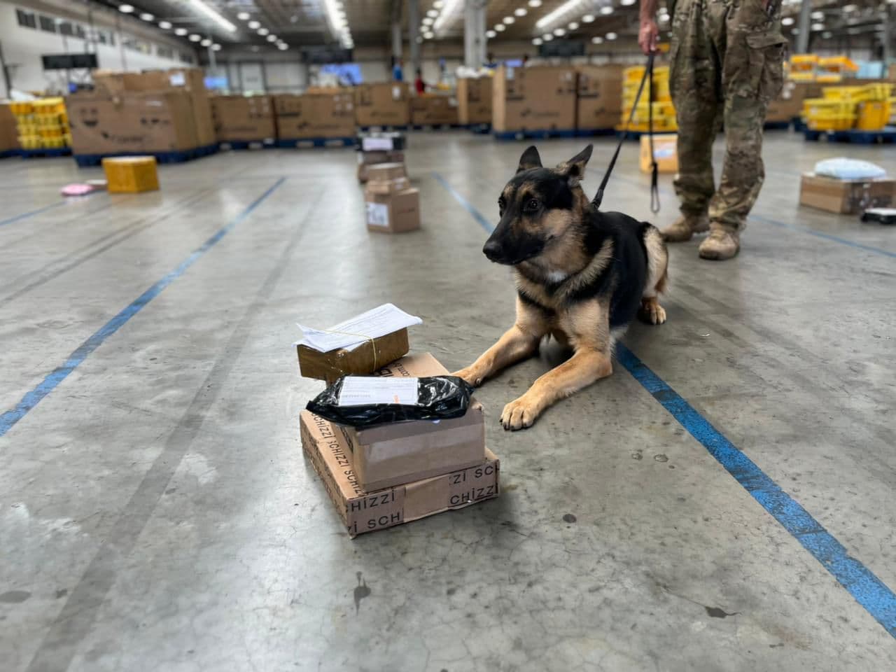 Drogas e arma apreendidas nos Correios em Simões Filho, BA, com prejuízo de R$ 110 mil