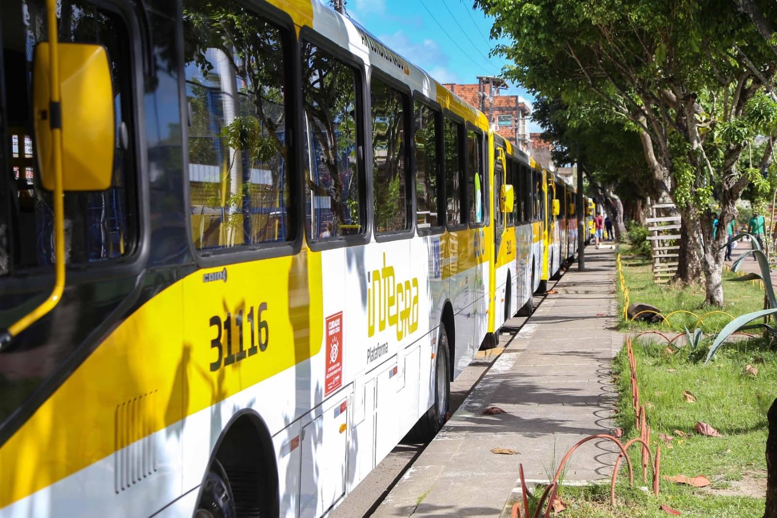Salvador: ônibus gratuito para estudantes no Enem com reforço de frota