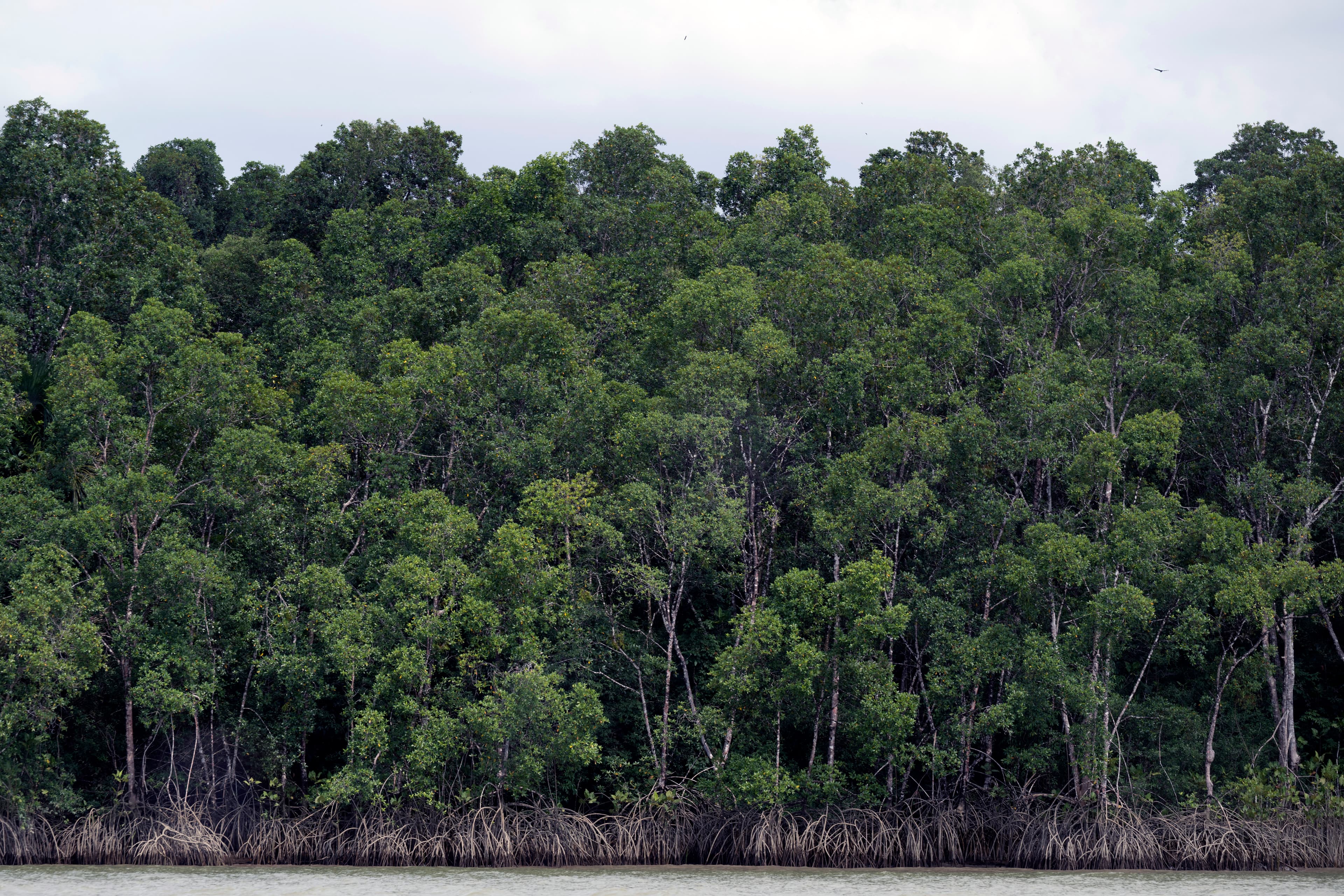 Ipea estima que países desenvolvidos devem US$ 90,4 trilhões por poluição