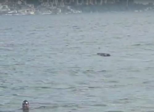 Corpo de homem encontrado boiando na Praia do Meio, Salvador