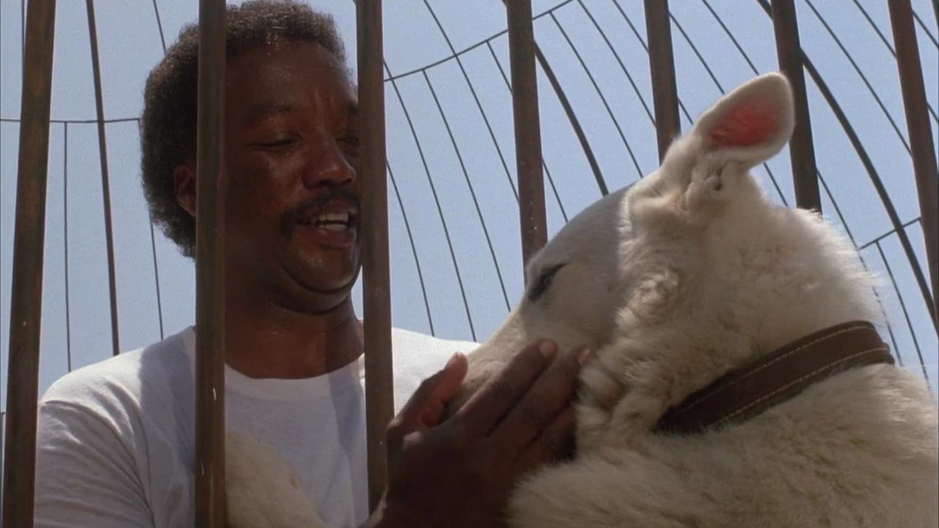 Hollywood perpetua estereótipos raciais em filmes no Dia da Consciência Negra