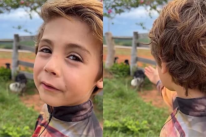 Menino de 6 anos resgata filhotes abandonados e viraliza nas redes sociais