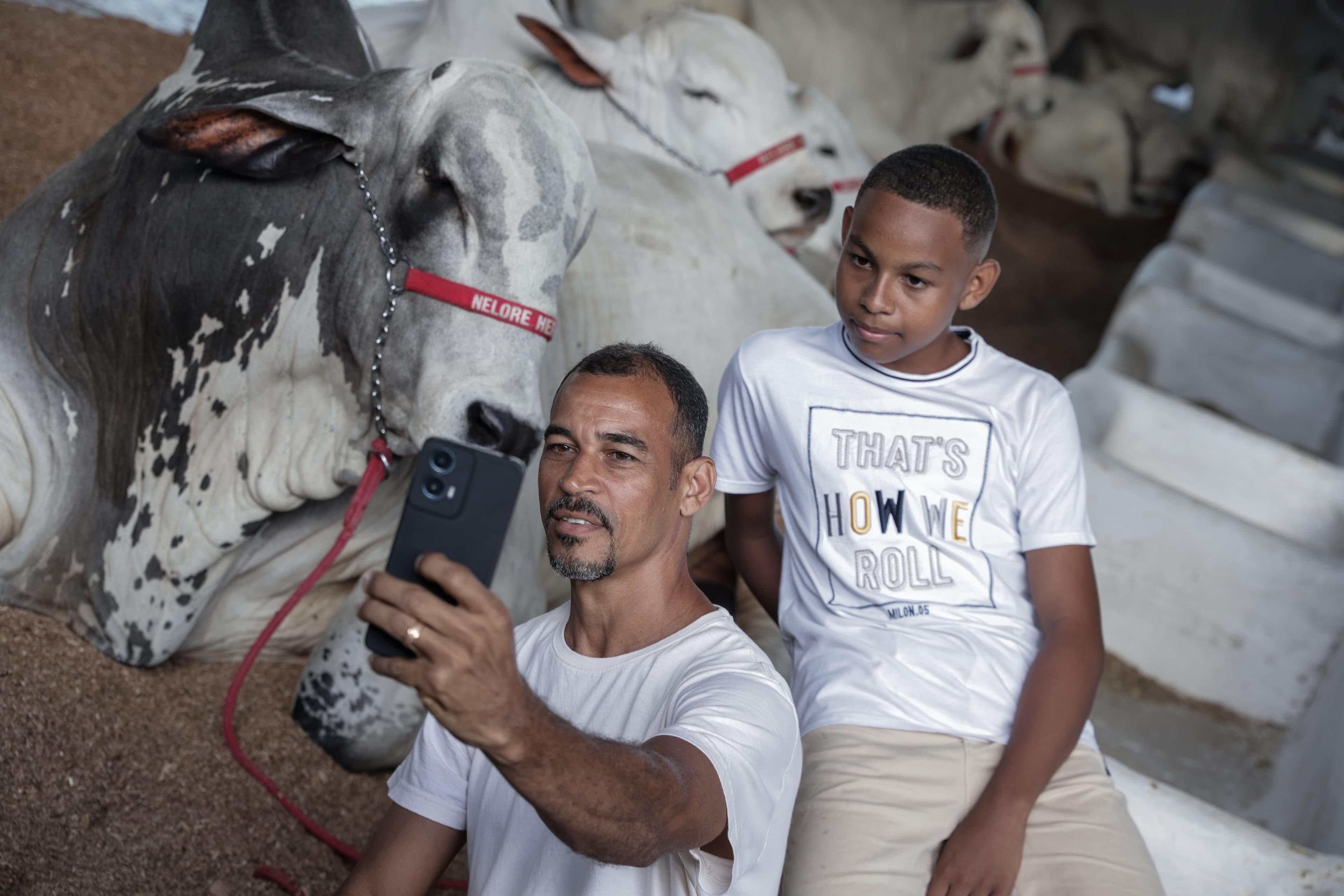 Fenagro 2025 em Salvador promete atrair 200 mil visitantes com nove dias de atrações