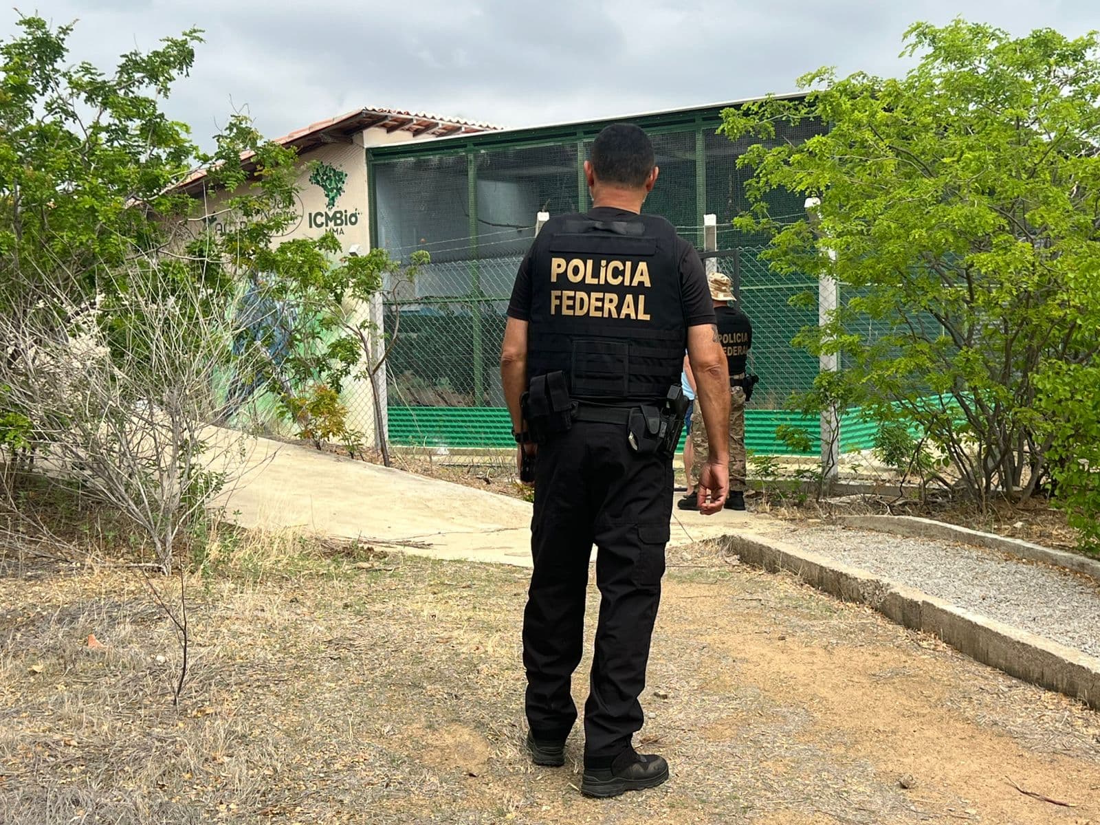 PF faz operação em Curaçá e Brasília contra vírus que ameaça Ararinha-Azul