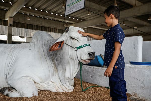 Fenagro formaliza acordos entre seis estados para desenvolvimento agropecuário na Bahia