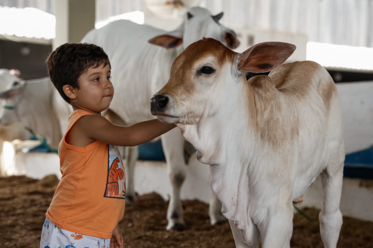 Fenagro 2025 encerra em Salvador com shows e atrações para todos