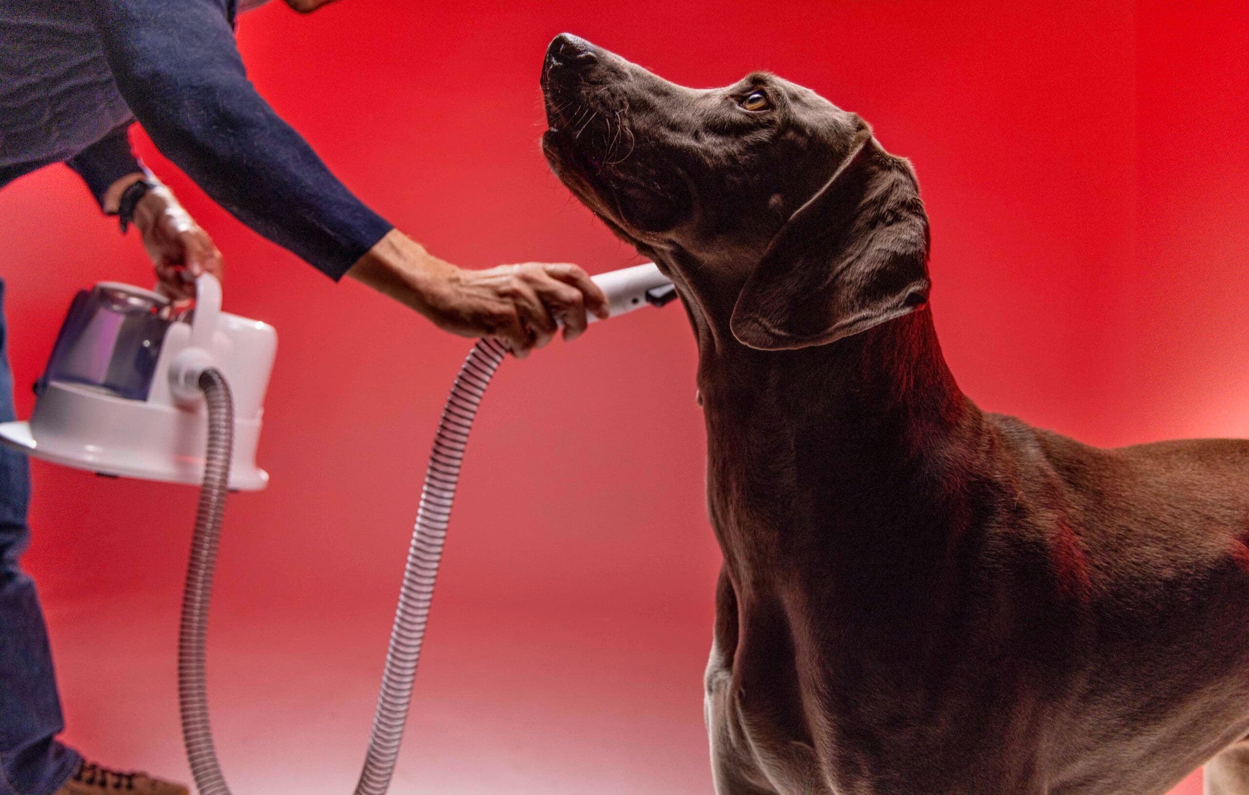 Kärcher lança Pet Clean, aparelho 5 em 1 para eliminar pelos de pets no Brasil