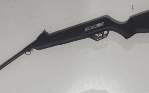 Pai atira acidentalmente em filho de 11 anos com espingarda em Valente, BA