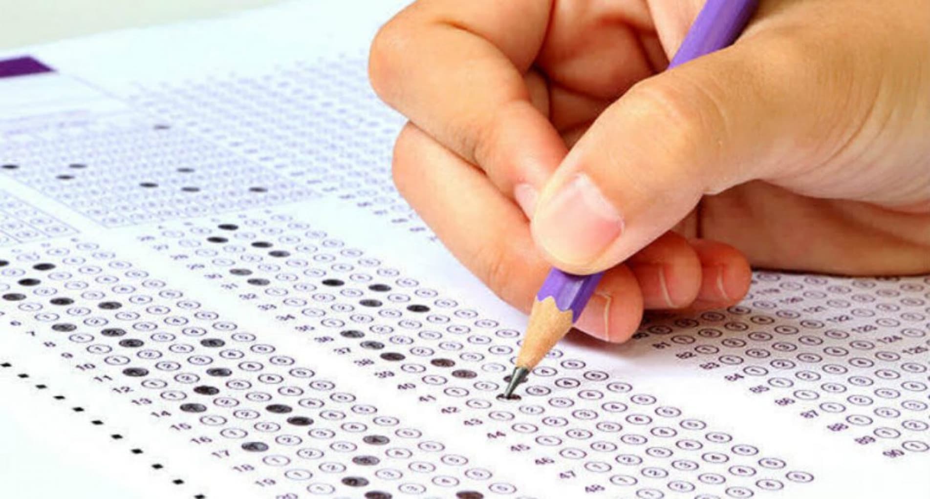 Ibama e Incra abrem edital para 60 vagas temporárias em Brasília e RJ com salários até R$ 11 mil