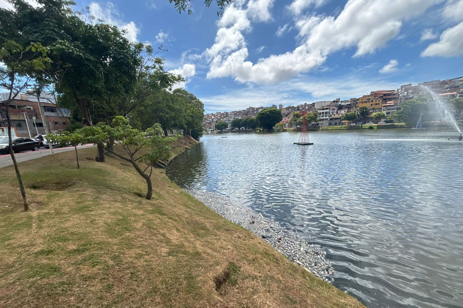 Dique do Tororó, em Salvador, tem centenas de peixes mortos