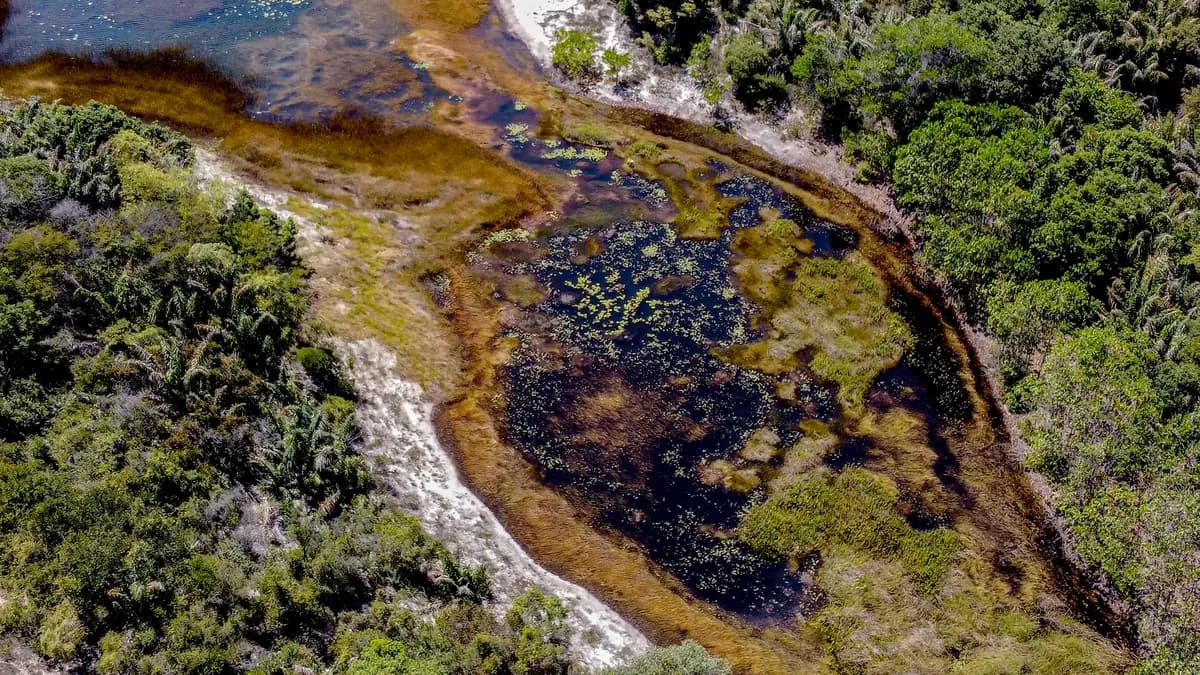 MP pede R$ 2 milhões da Tronox por danos ambientais em Camaçari