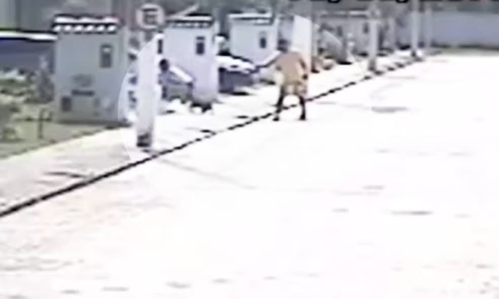 PM que atirou em vizinha e cães vai a júri popular após 11 anos