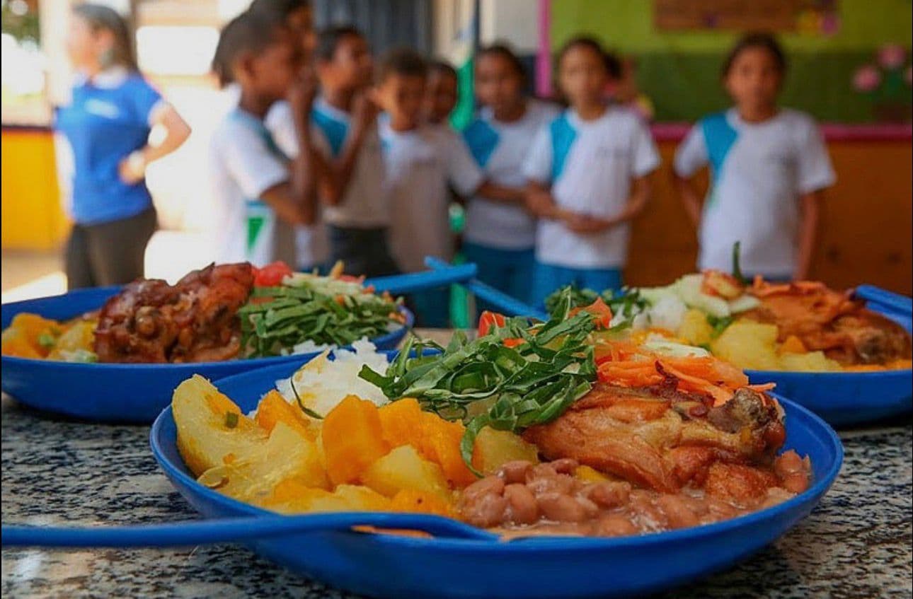 Bahia investe R$ 50,2 milhões em alimentos da agricultura familiar para escolas