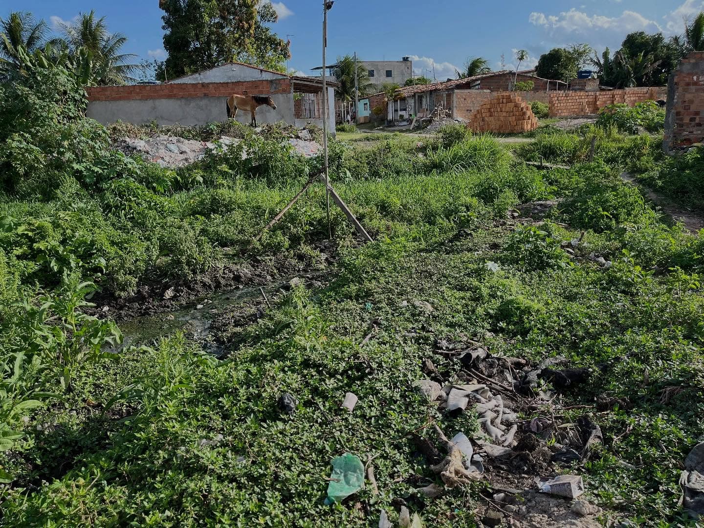 Feira de Santana planeja usar câmeras para multar descarte de lixo