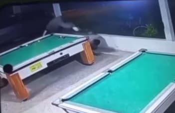 Assessor é morto a tiros em bar na Bahia enquanto jogava sinuca