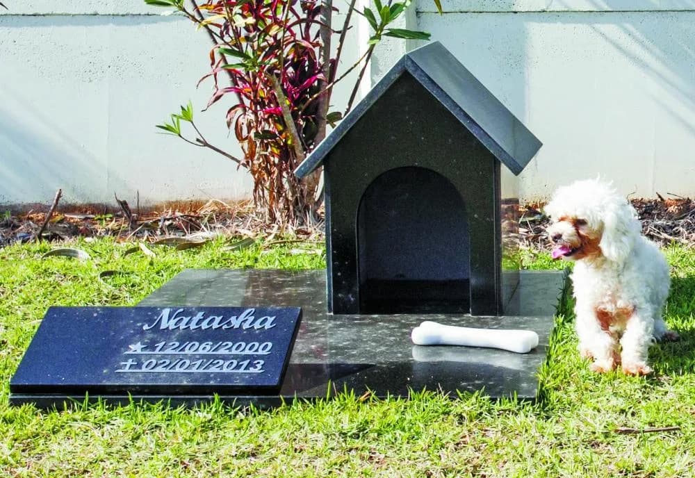 Projeto de lei em Salvador pode permitir sepultamento de pets com tutores