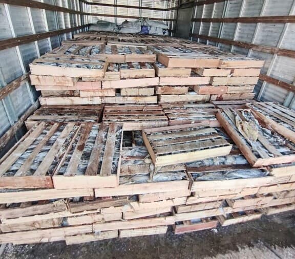 PRF apreende 9 toneladas de peixe sem refrigeração na BR-116, na Bahia