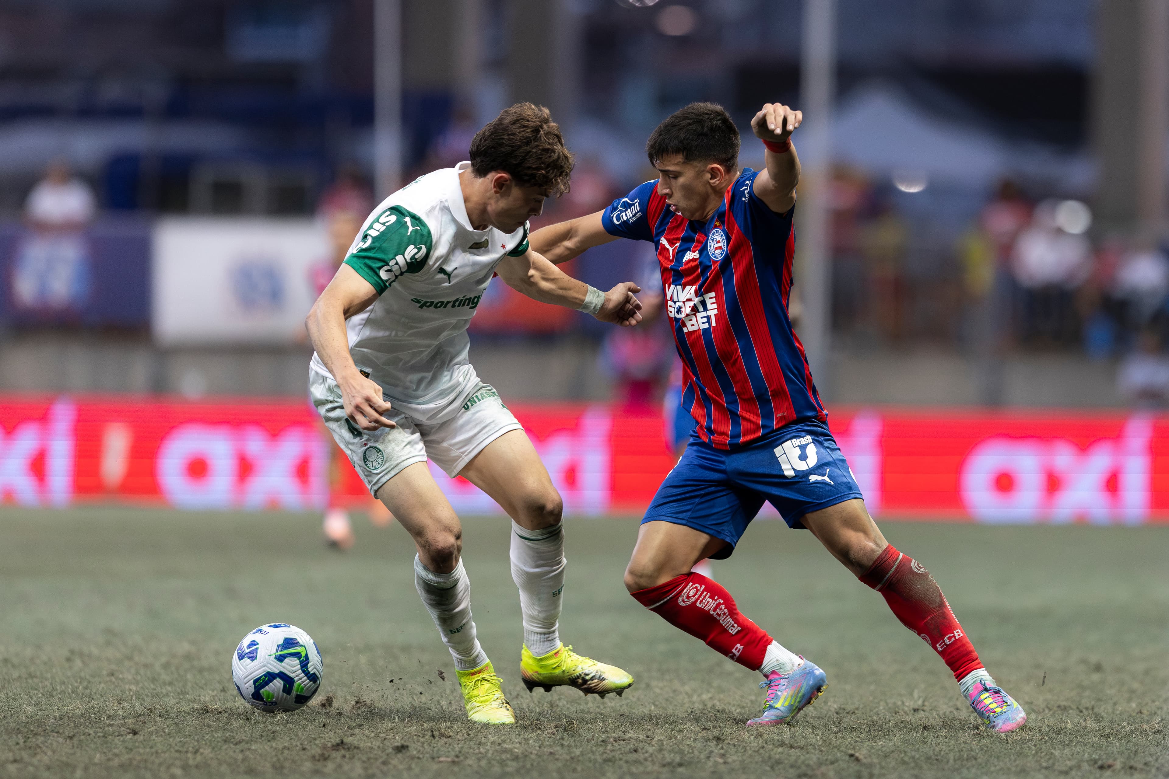 Bahia e Palmeiras se enfrentam em duelo de times com menos derrotas na Série A