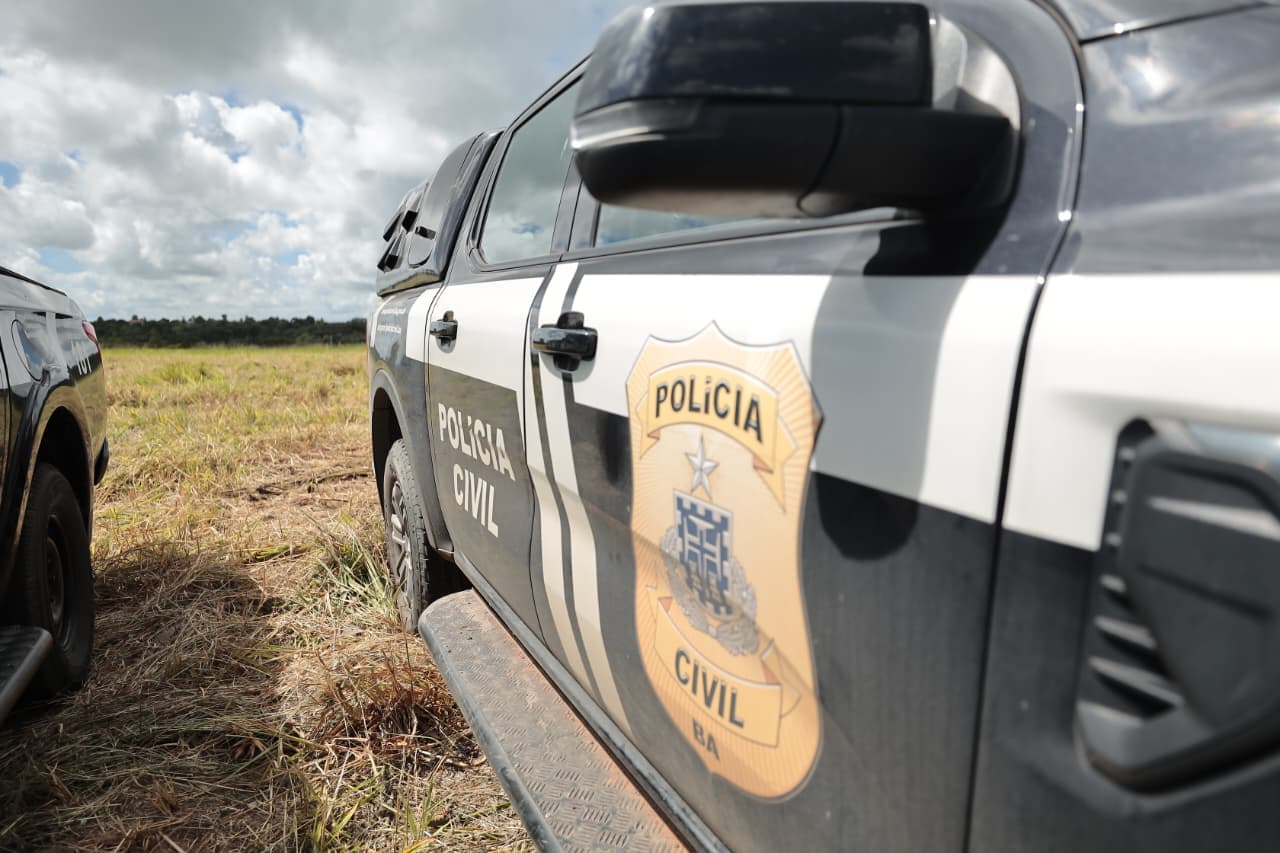 Polícia destrói 200 mil pés de maconha em operação na Bahia