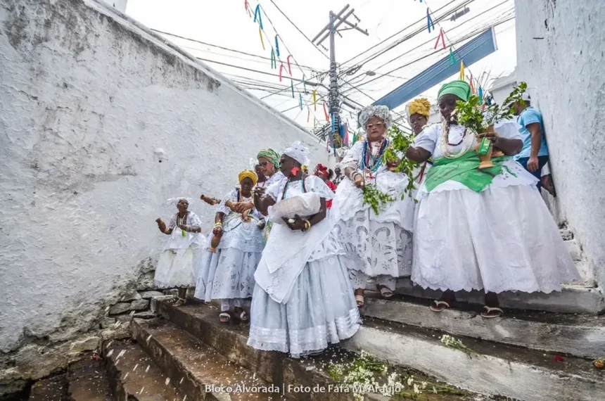 Foto: Fafá M. Araújo | Divulgação