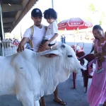 Feira promete uma programação diversificada que une agronegócio, cultura e lazer para toda a família -