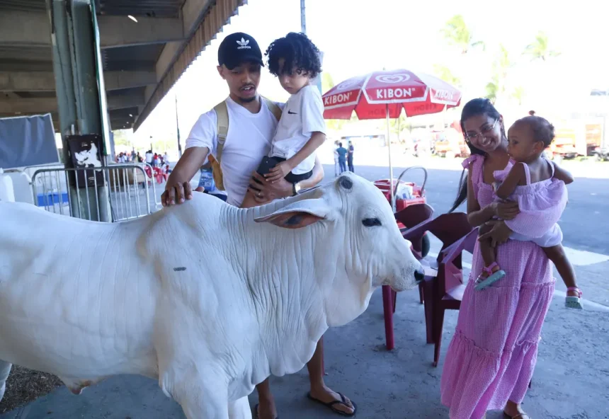 Feira promete uma programação diversificada que une agronegócio, cultura e lazer para toda a família -