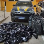 Droga estava sendo transportada em um FIAT Strada -