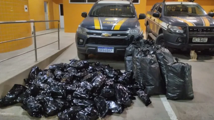 Droga estava sendo transportada em um FIAT Strada -